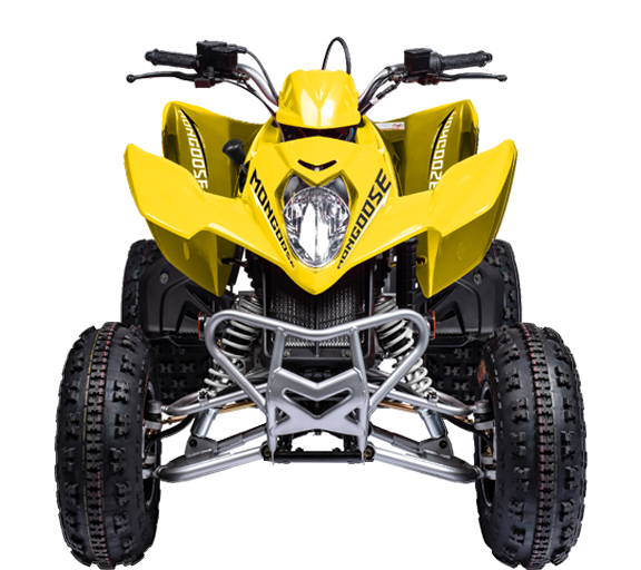 2021 mongoose supergoose