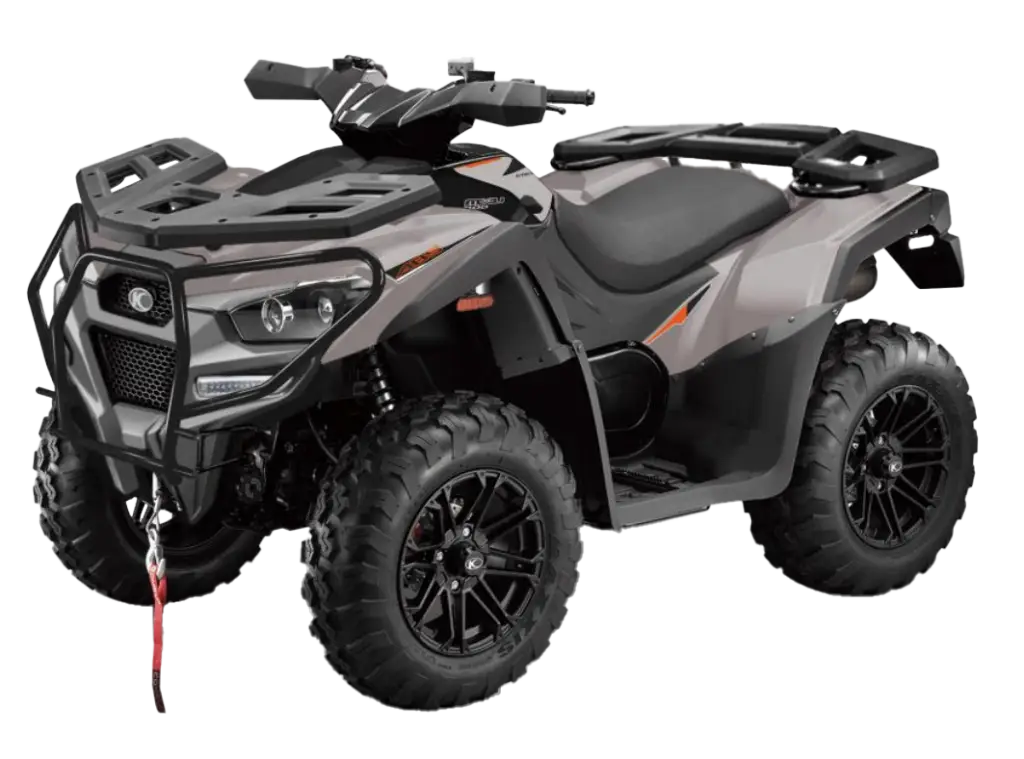 2025 MXU 700i LE EPS EURO in mountain gray